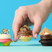 No-Nut All the Flavors Cupcakes 50-Pack